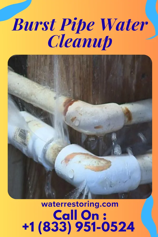 Burst Pipe Water Cleanup in Fort Salonga, NY