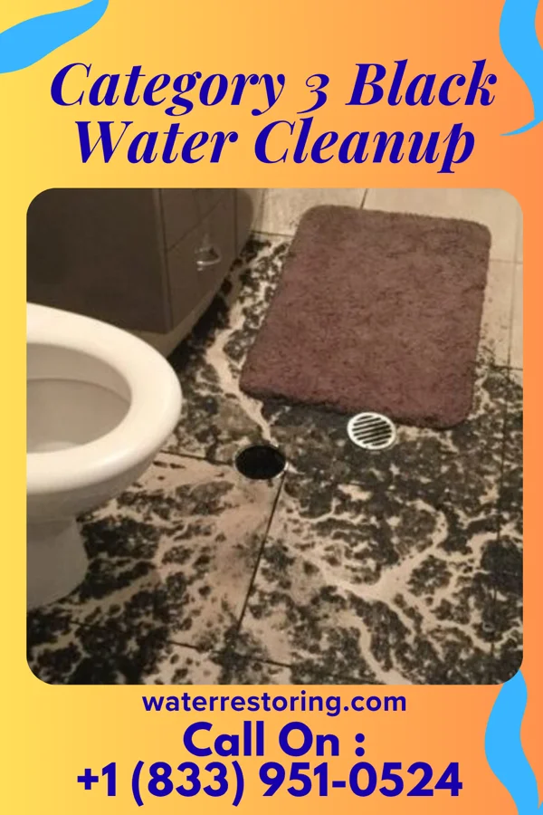 Category 3 Black Water Cleanup in Fort Salonga, NY