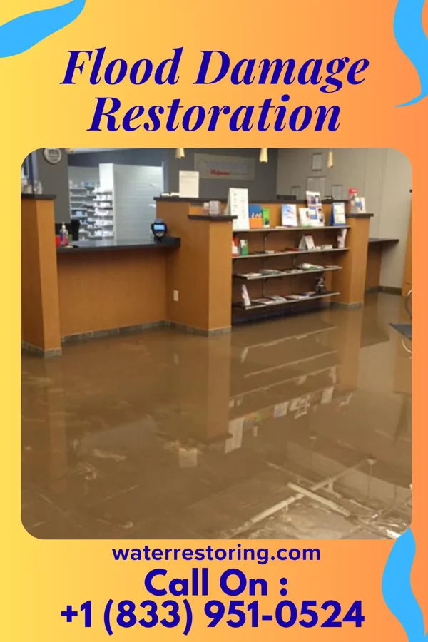 Flood Damage Restoration in Fort Salonga, NY