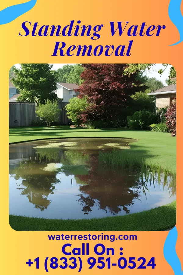 Standing Water Removal in Fort Salonga, NY